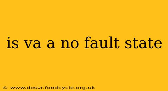 is va a no fault state