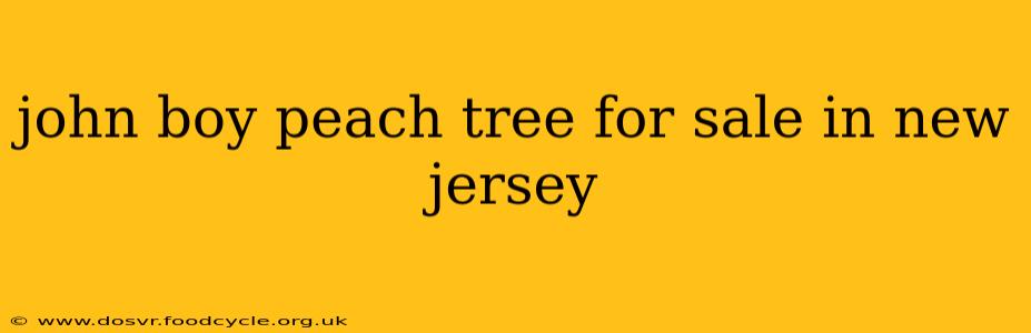 john boy peach tree for sale in new jersey