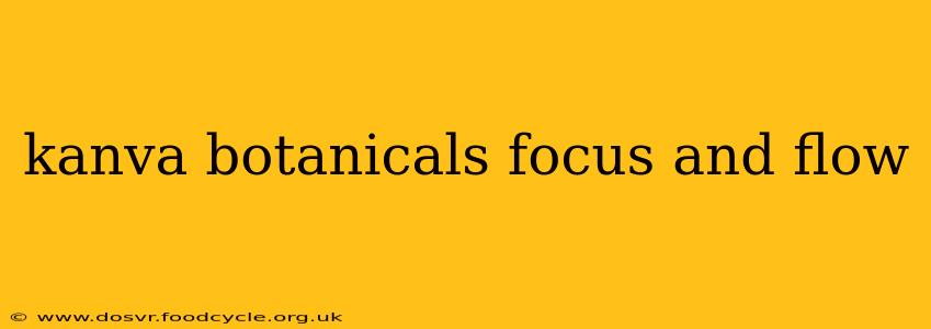 kanva botanicals focus and flow
