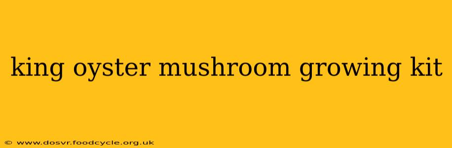 king oyster mushroom growing kit