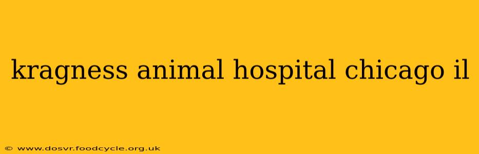 kragness animal hospital chicago il