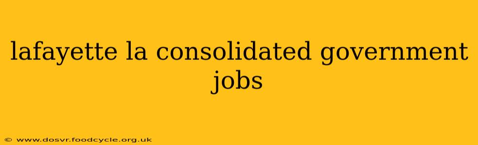 lafayette la consolidated government jobs