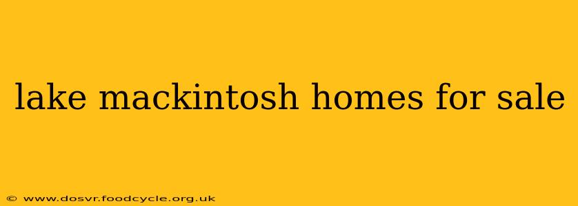 lake mackintosh homes for sale