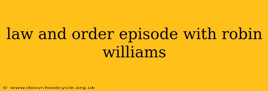law and order episode with robin williams