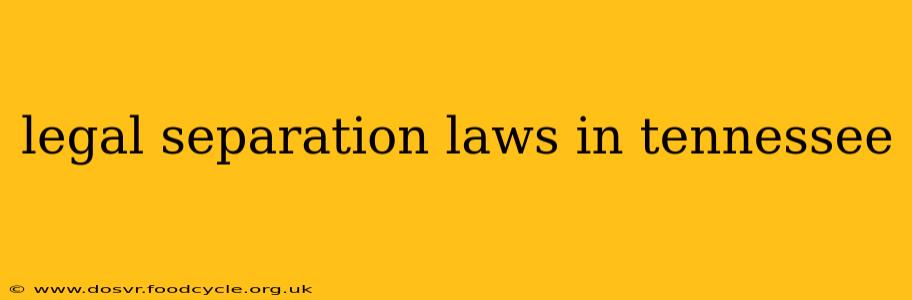 legal separation laws in tennessee