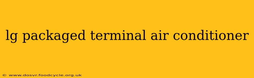 lg packaged terminal air conditioner