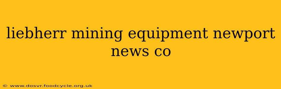 liebherr mining equipment newport news co