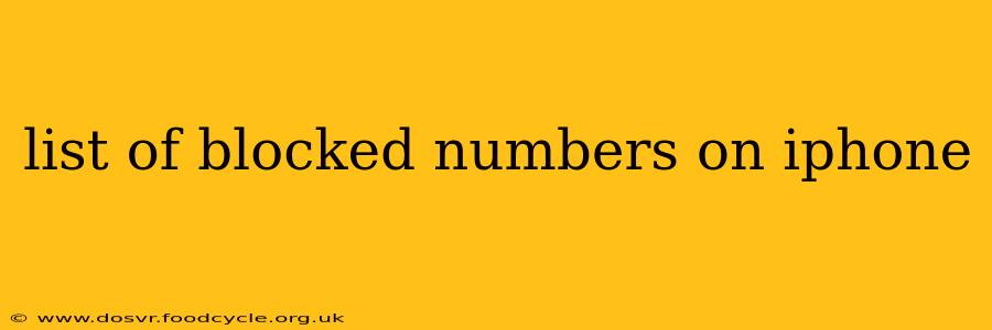 list of blocked numbers on iphone