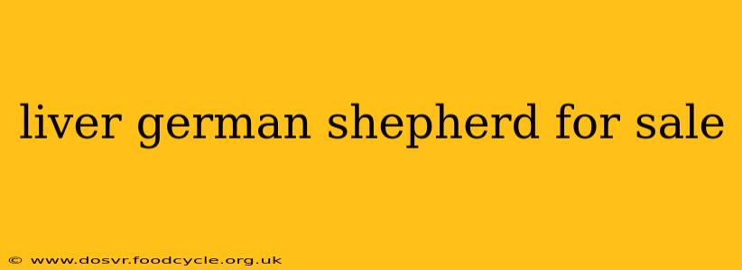 liver german shepherd for sale
