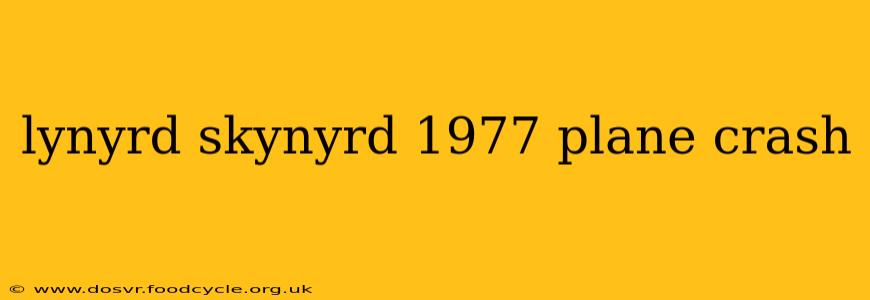 lynyrd skynyrd 1977 plane crash