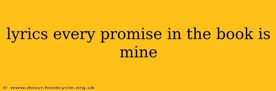 lyrics every promise in the book is mine