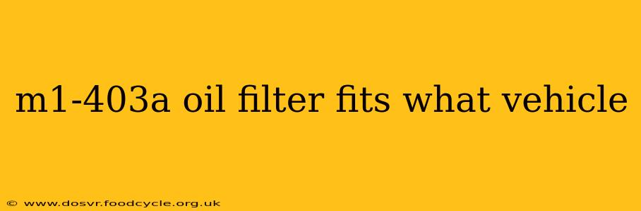 m1-403a oil filter fits what vehicle
