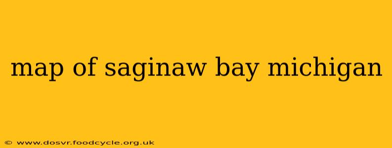 map of saginaw bay michigan