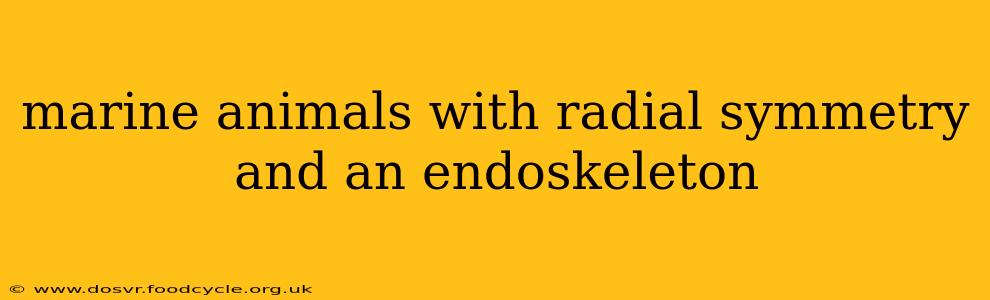 marine animals with radial symmetry and an endoskeleton