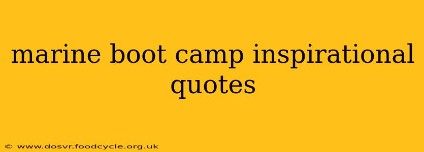 marine boot camp inspirational quotes