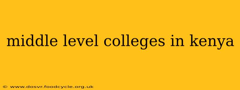 middle level colleges in kenya