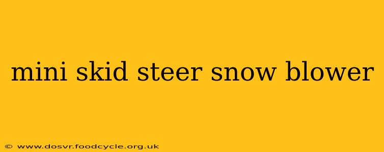 mini skid steer snow blower