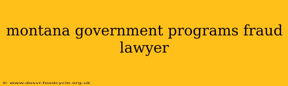 montana government programs fraud lawyer