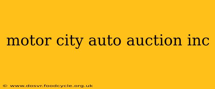 motor city auto auction inc