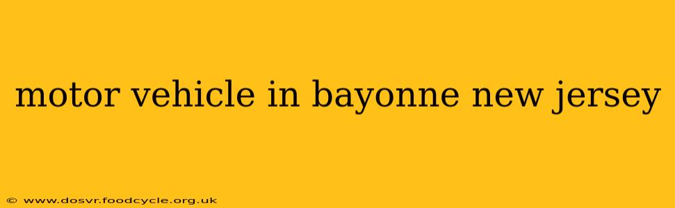 motor vehicle in bayonne new jersey