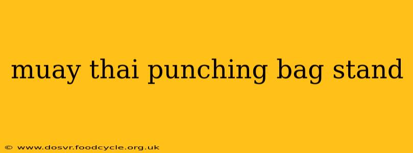 muay thai punching bag stand