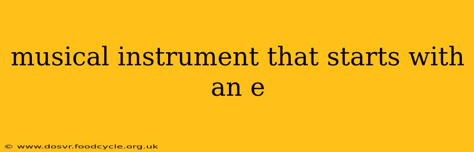 musical instrument that starts with an e