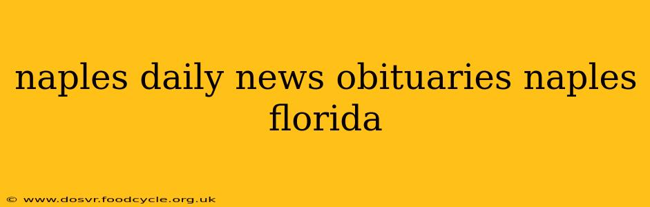 naples daily news obituaries naples florida