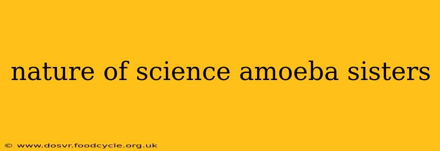 nature of science amoeba sisters