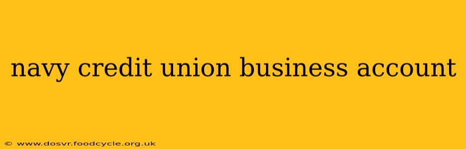 navy credit union business account