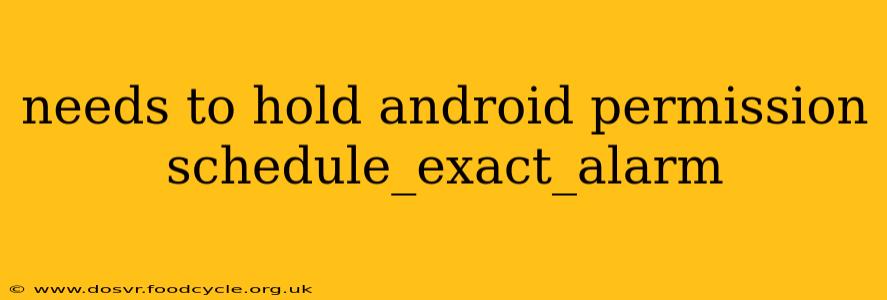 needs to hold android permission schedule_exact_alarm