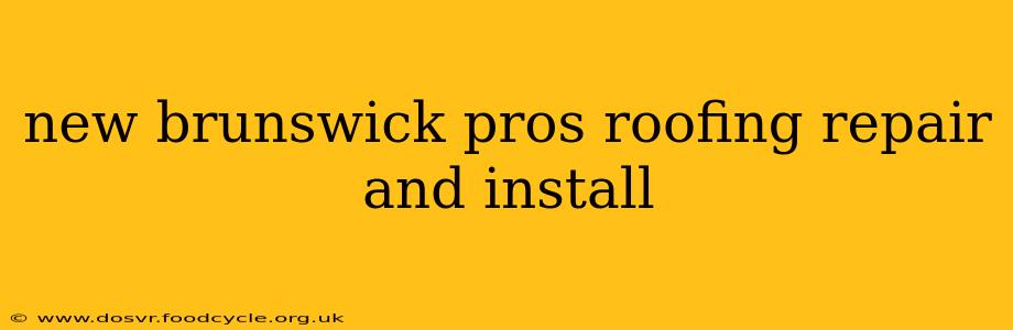 new brunswick pros roofing repair and install