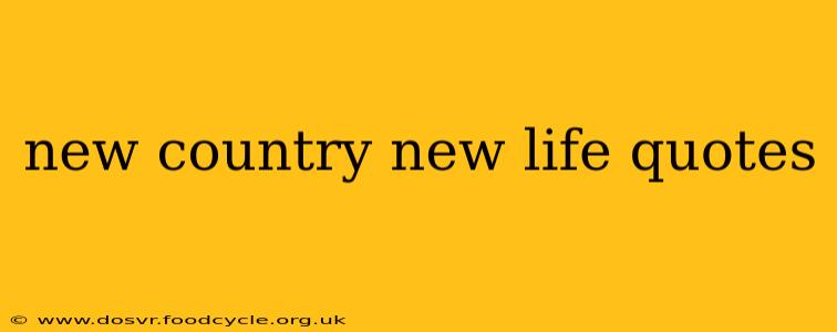 new country new life quotes