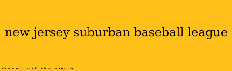 new jersey suburban baseball league