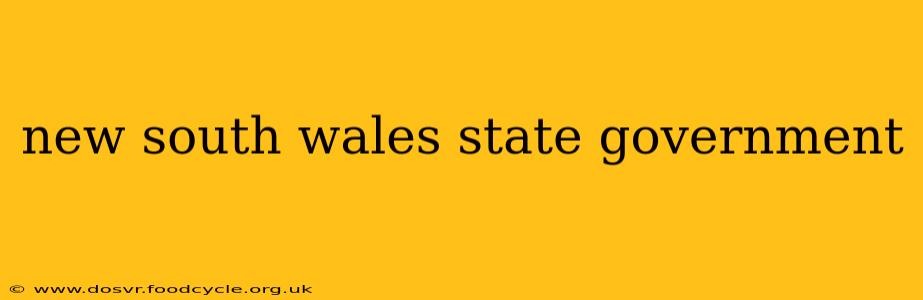 new south wales state government
