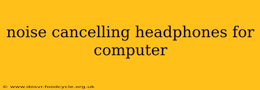 noise cancelling headphones for computer