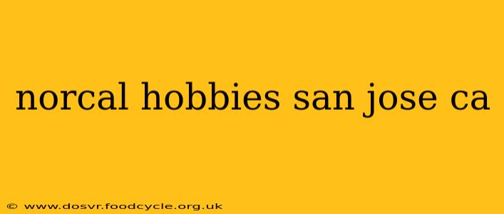 norcal hobbies san jose ca