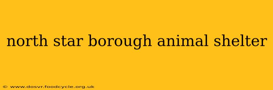 north star borough animal shelter