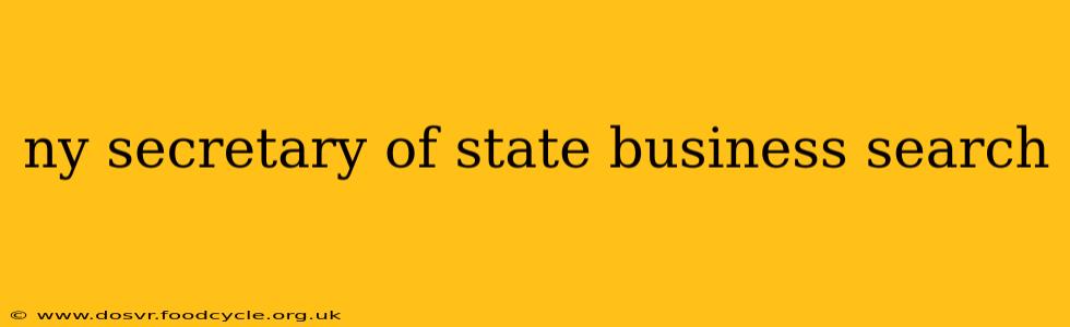 ny secretary of state business search