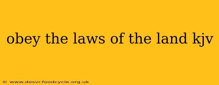 obey the laws of the land kjv