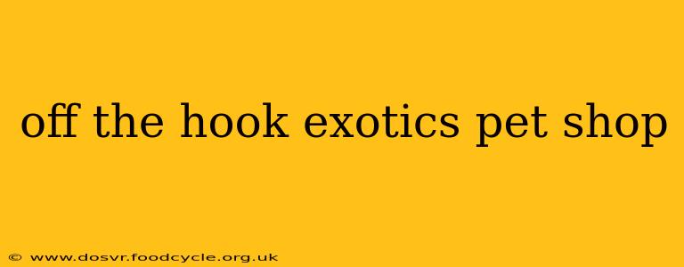 off the hook exotics pet shop