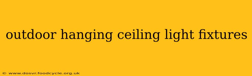 outdoor hanging ceiling light fixtures