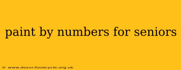 paint by numbers for seniors