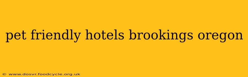 pet friendly hotels brookings oregon