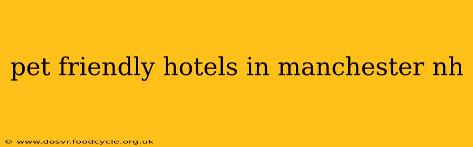 pet friendly hotels in manchester nh