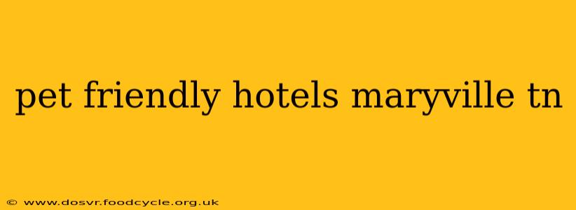 pet friendly hotels maryville tn