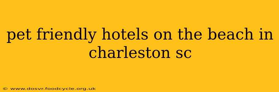 pet friendly hotels on the beach in charleston sc