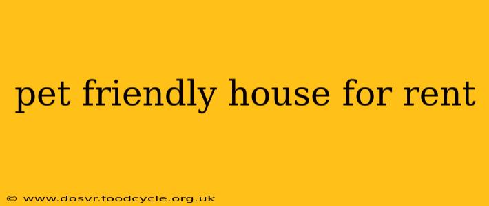 pet friendly house for rent