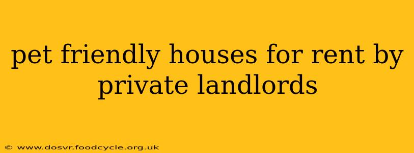 pet friendly houses for rent by private landlords