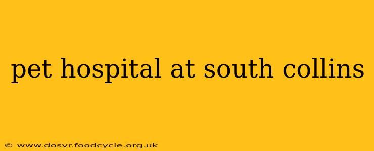 pet hospital at south collins
