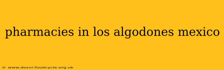 pharmacies in los algodones mexico